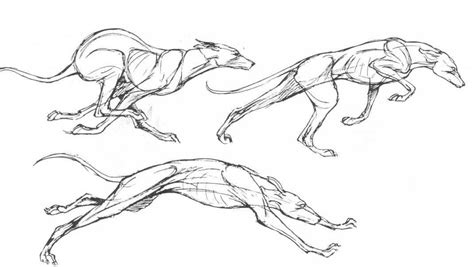 Dog Running Sketch at PaintingValley.com | Explore collection of Dog ...