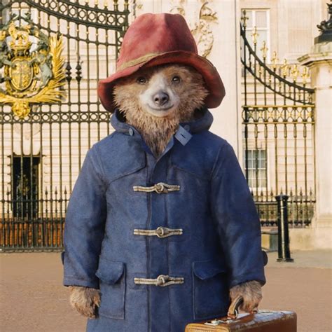 Paddington Bear Costume - Fancy Dress