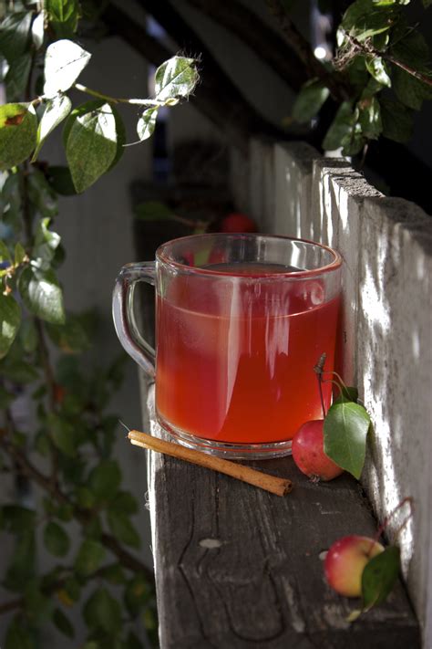 Crab Apple Cider – KS