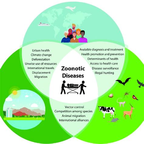 Viral Emerging Zoonoses Of The Last Two Decades Download Scientific