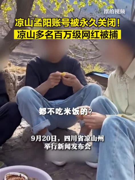 彻底凉凉！多名百万级网红被抓凉山四川省公安新浪新闻