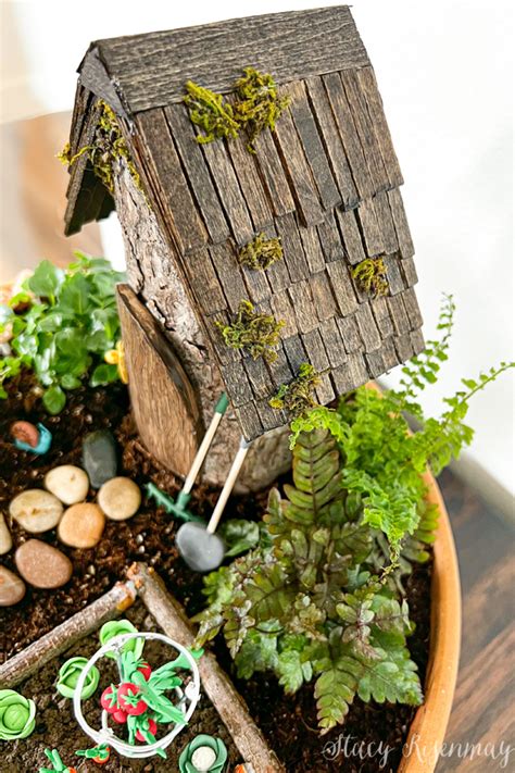 Fairy Garden Plants