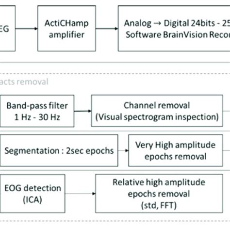 Block Diagram Of Eeg Recording And Processing The Raw Signal Was