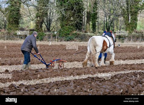 Agriculteur Laboure Un Champ L Aide D Un Cheval Et Une Charrue Tir E