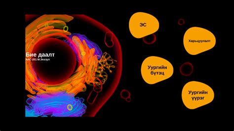 эукариот болон прокариот эс by Enkhzul Munkhtsooj on Prezi