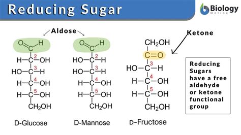 Reducing sugar - Definition and Examples - Biology Online Dictionary