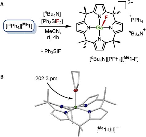 Calix Pyrrolato Gallate Square Planar Coordinated Gallium Iii And