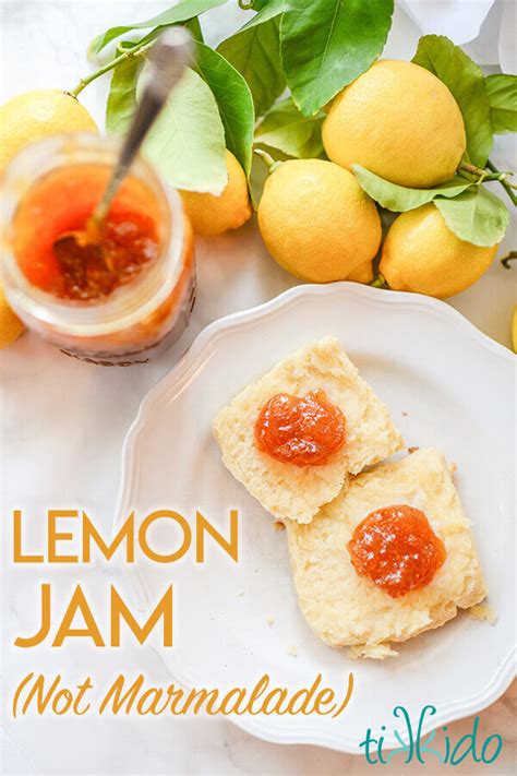 Amazing Easy Lemon Jam Recipe Not Marmalade Lemon Jam Tikkido