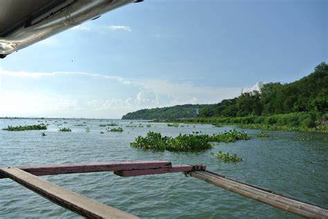 フィリピン・東南アジア漁業開発センターseafdec Binangonan Freshwater Stationを訪問 日本学術振興会