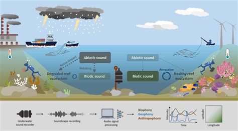 Assessing Coral Reef Social Ecological Systems Using Underwater