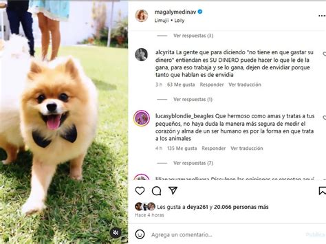 Magaly Medina Celebró A Lo Grande El Primer Año De Sus Perritos “los Bebés” Infobae