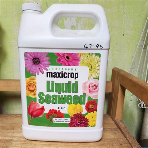 Maxicrop Liquid Seaweed Gal Encourages Dramatic Root Growth