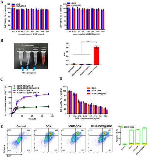 In Vitro Cytotoxicity And Release Profile Of Dox A In Vitro