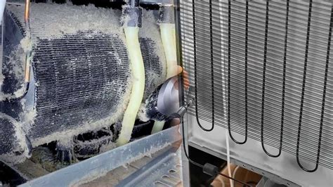 Maintaining Your Refrigerator A Guide To Cleaning Condenser Coils