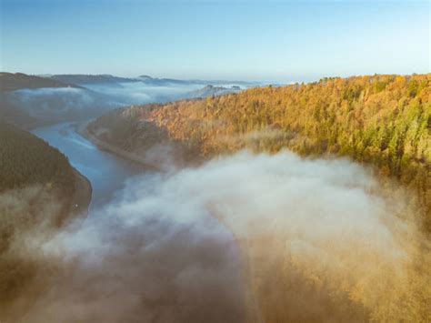 30+ Frogy Stock Photos, Pictures & Royalty-Free Images - iStock