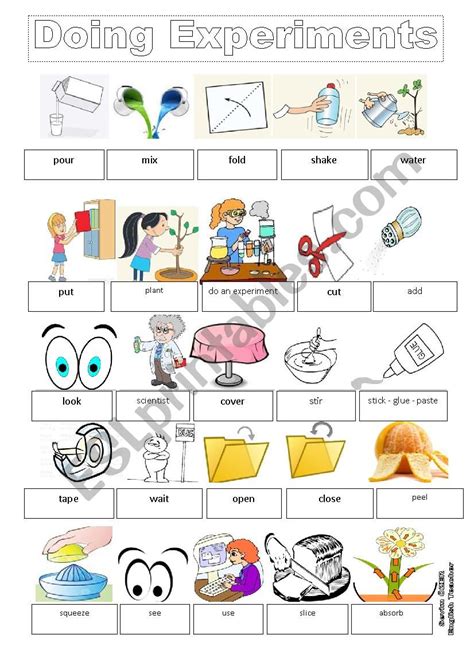 Doing Experiments Esl Worksheet By Sevim 6 Worksheets Library