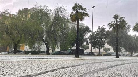 Video La Junta pedirá la declaración de Zona Catastrófica para los