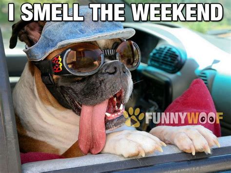 I Smell The Weekend Weekend Friday Happy Friday Friday Quotes Weekend