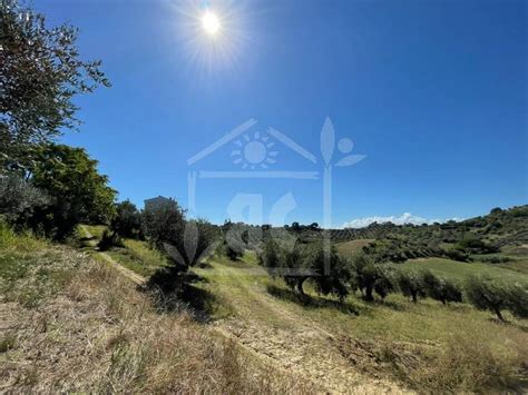 Terreno Agricolo Strada Sferrella Spoltore Rif