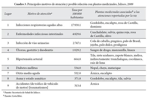 Cuadro Comparativo Docx Plantas Medicinales Medicamentos Con Receta 41272 The Best Porn Website