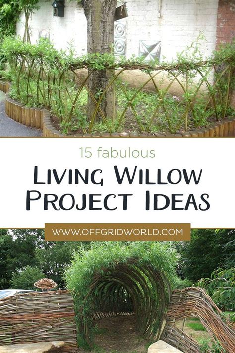 15 Fabulous Living Willow Project Ideas Artofit