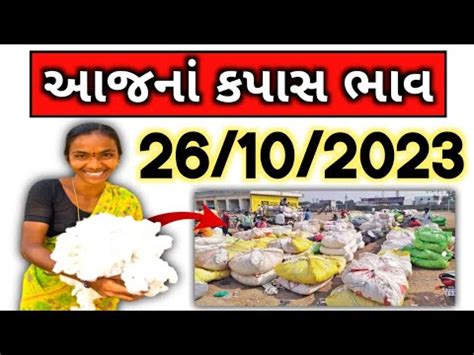 kapas na bhav 26 10 2023 કપસન ભવ 2023 Information about cotton