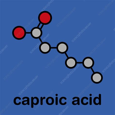 Caproic Acid Structure