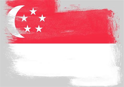 Bandera De Singapur Pintada Con Pincel Foto Premium