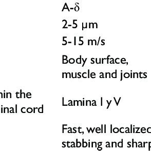 Primary characteristics of nociceptors | Download Scientific Diagram