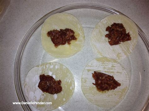 Recipes From Gumball World Gyoza Potstickers Venison Style