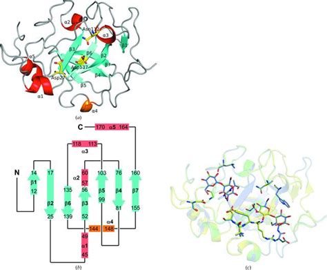 IUCr High Resolution Crystal Structures Of The Glycoside Hydrolase