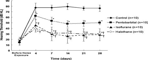 The Effect Of Isoflurane Halothane And Pentobarbital On Noi