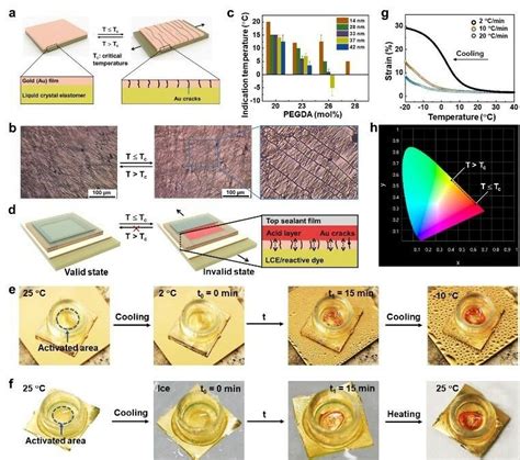 Assembly And Demonstration Of Lcttis A Schematic Illustration Of The