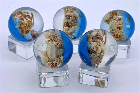 24mm Crab Loosie Seashore Resin Shooter Marbles Pk Of 5 Etsy