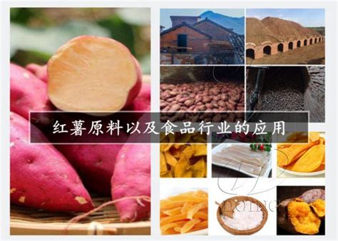 红薯淀粉加工厂如何挑选红薯原料？ 知乎