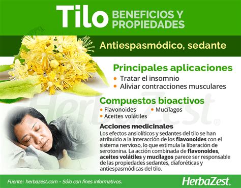 Tila Qu Es Propiedades Y Beneficios De Esta Planta Off