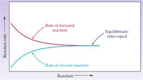 Chem Chapter 16 Chemical Equilibrium Flashcards Quizlet