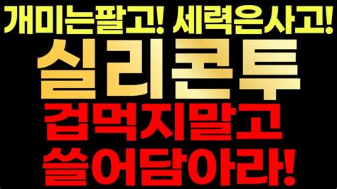 실리콘투🚨 개미는팔고 세력은사고 겁먹지말고 쓸어담으세요 Youtube