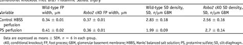 Table 1 From Loss Of Roundabout Guidance Receptor 2 Robo2 In