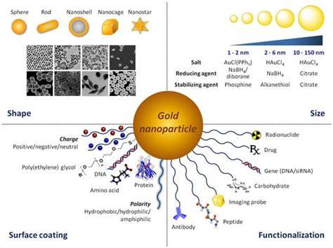 Ijms Free Full Text Mechanistic Insights Into The Biological