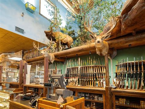 832 Bass Pro Shop 图片、库存照片、3d 物体和矢量图 Shutterstock