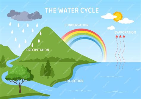 Premium Vector Water Cycle Flat Cartoon Illustration In Earth Natural