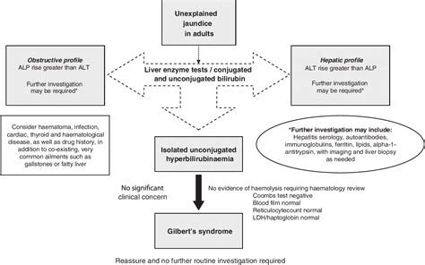 Figure 1 from Gilbert's syndrome: an overview for clinical biochemists ...