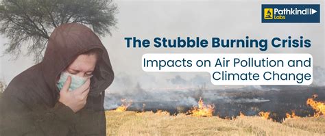 Clearing The Air The Unseen Consequences Of Stubble Burning On Our Planet