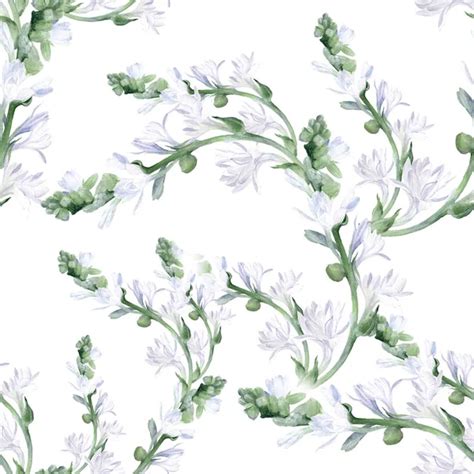 Izote Flower Drawing Best Flower Site