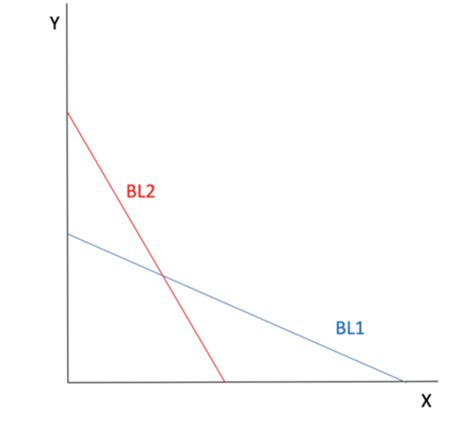 Micro Theory Final Cumulative Flashcards Quizlet