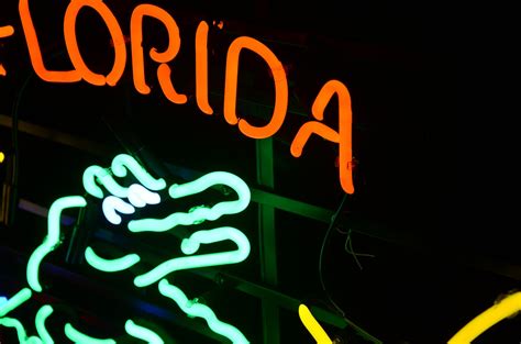 Stunning University of Florida/Budweiser "Gator" Neon Sign | EBTH