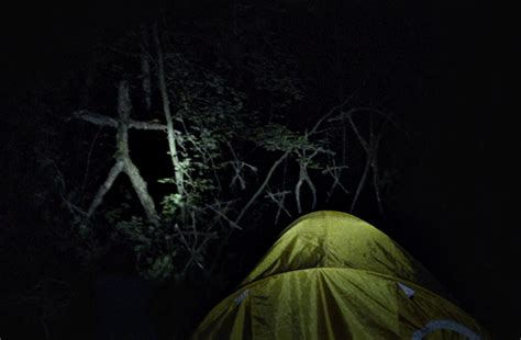 Blair Witch Wallpapers Wallpaper Cave