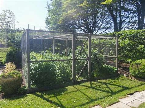 9 Stylish Fruit Cages For Keeping Your Produce Protected Fruit Cage Country Garden Design