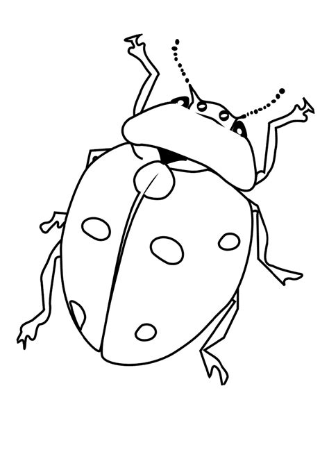 Download 54+ Insects Beetles Coloring Pages PNG PDF File - Best All ...